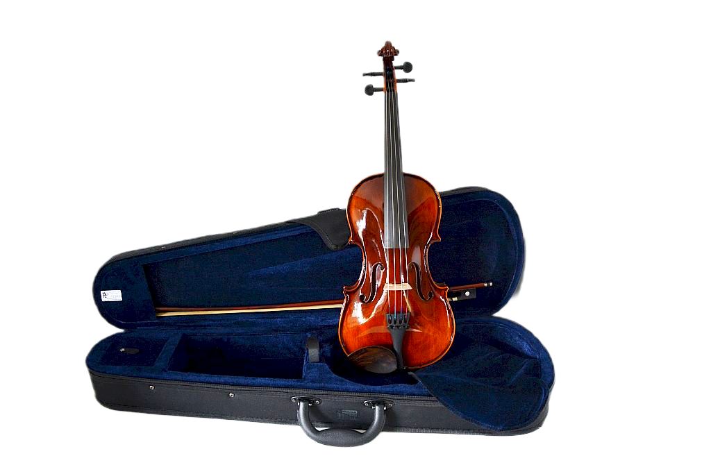 Skrzypce uczniowskie BEGINNER